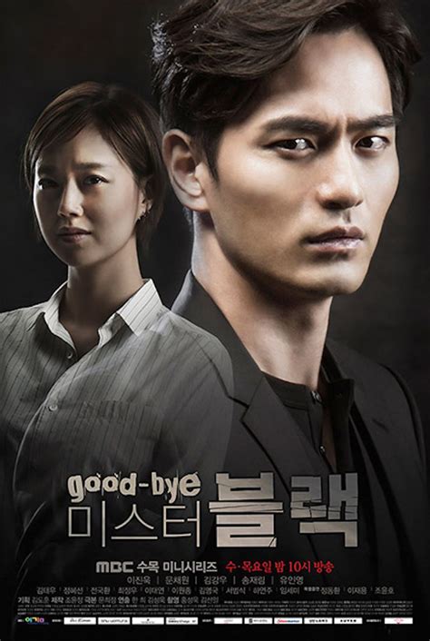 korean drama goodbye mr black